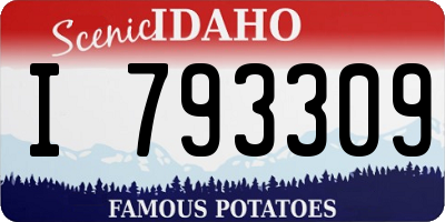 ID license plate I793309