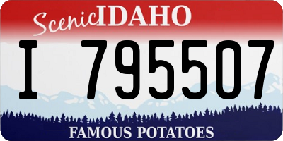 ID license plate I795507
