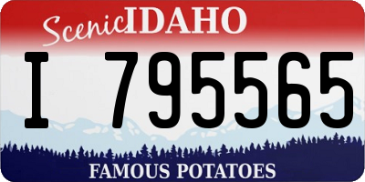 ID license plate I795565