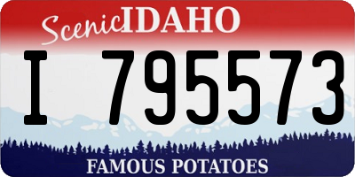 ID license plate I795573