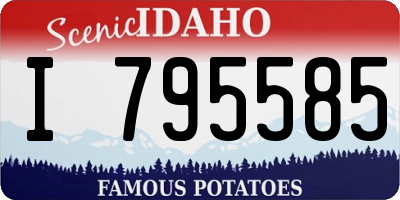 ID license plate I795585