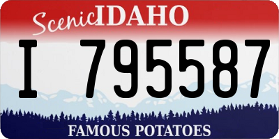 ID license plate I795587