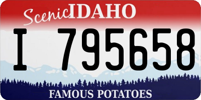 ID license plate I795658