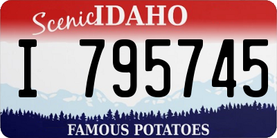 ID license plate I795745