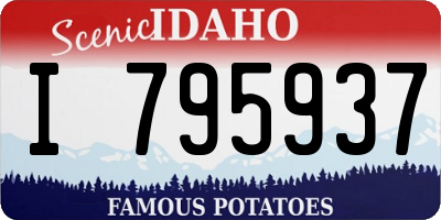 ID license plate I795937