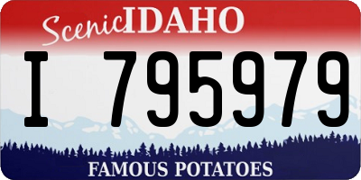 ID license plate I795979