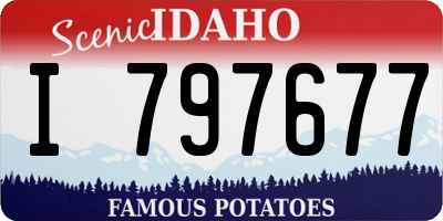 ID license plate I797677