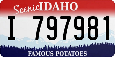 ID license plate I797981