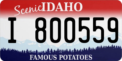 ID license plate I800559