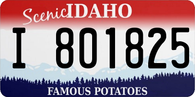 ID license plate I801825