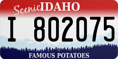 ID license plate I802075