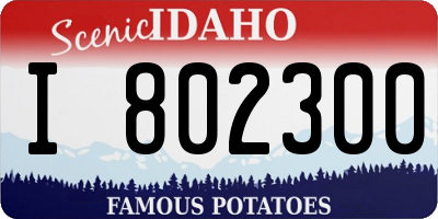 ID license plate I802300