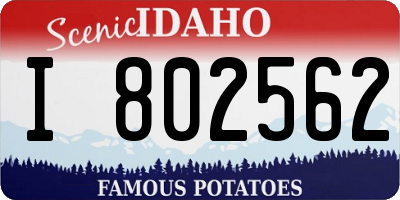 ID license plate I802562