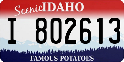 ID license plate I802613