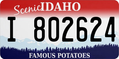 ID license plate I802624