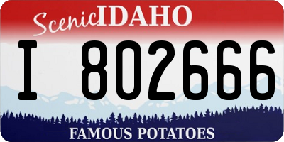 ID license plate I802666