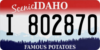 ID license plate I802870