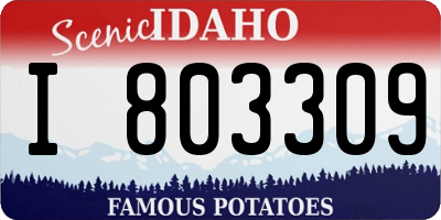 ID license plate I803309