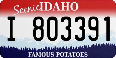 ID license plate I803391