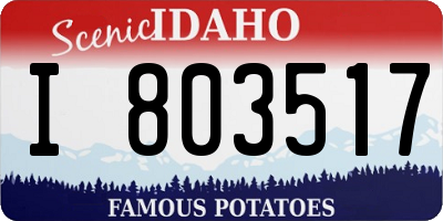 ID license plate I803517
