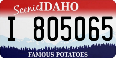 ID license plate I805065