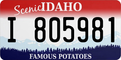 ID license plate I805981