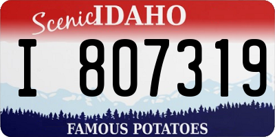 ID license plate I807319