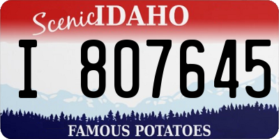ID license plate I807645