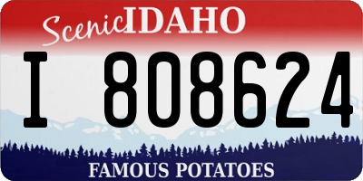 ID license plate I808624