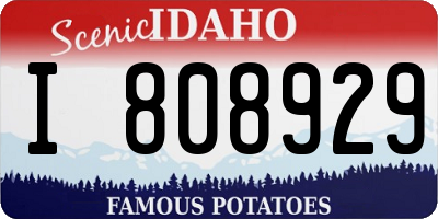 ID license plate I808929
