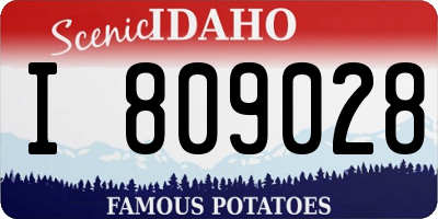 ID license plate I809028