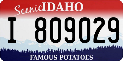 ID license plate I809029