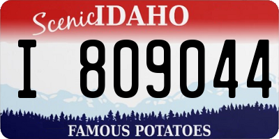 ID license plate I809044
