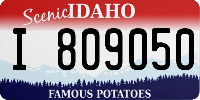 ID license plate I809050