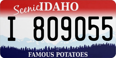 ID license plate I809055