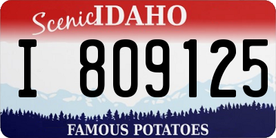 ID license plate I809125