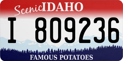 ID license plate I809236