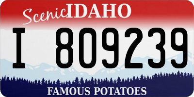 ID license plate I809239