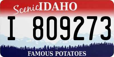 ID license plate I809273
