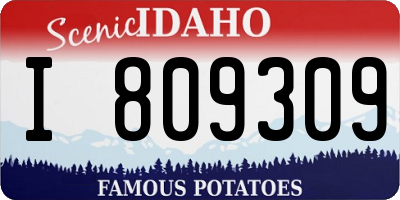 ID license plate I809309