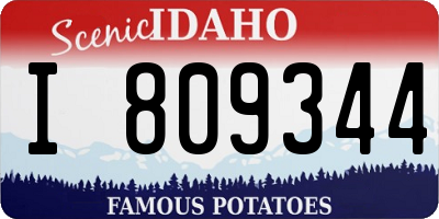 ID license plate I809344