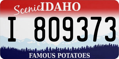 ID license plate I809373