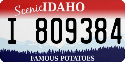ID license plate I809384