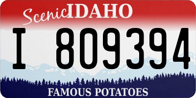 ID license plate I809394