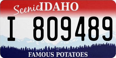 ID license plate I809489