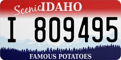 ID license plate I809495