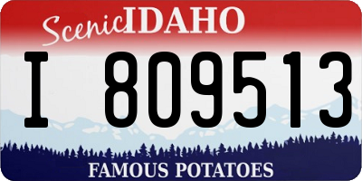 ID license plate I809513
