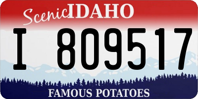 ID license plate I809517