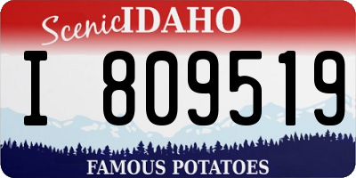 ID license plate I809519