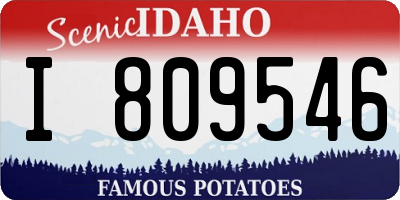 ID license plate I809546